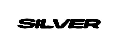 SILVER DUB CLUB